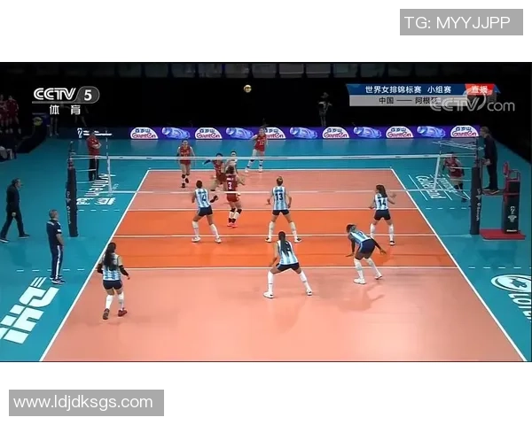 南京排球队与重庆排球队耐力较量的赛后分析与反思